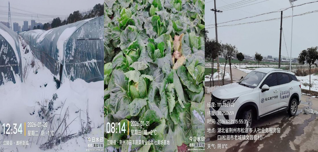 图片2.png 图片2.png